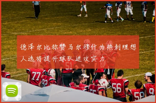 德泽尔比称赞马尔穆什为热刺理想人选将提升球队进攻实力